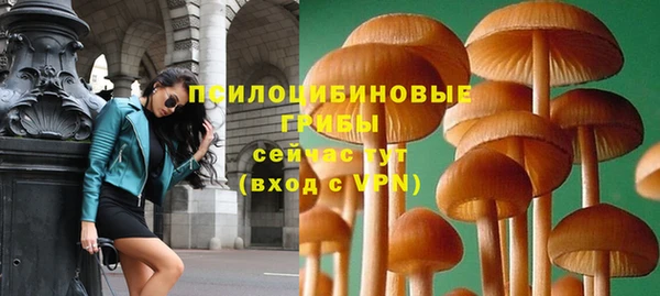 трава Абдулино