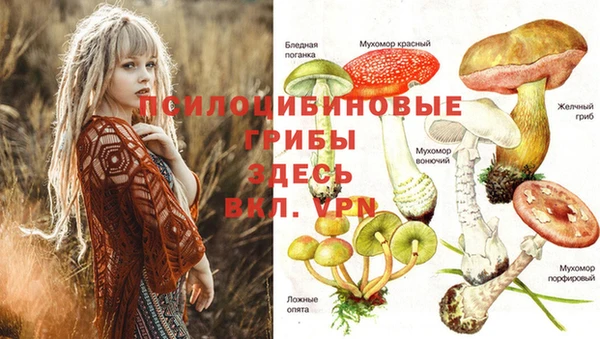 mix Алексин