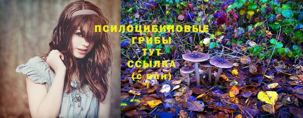 соль курить ск Абаза
